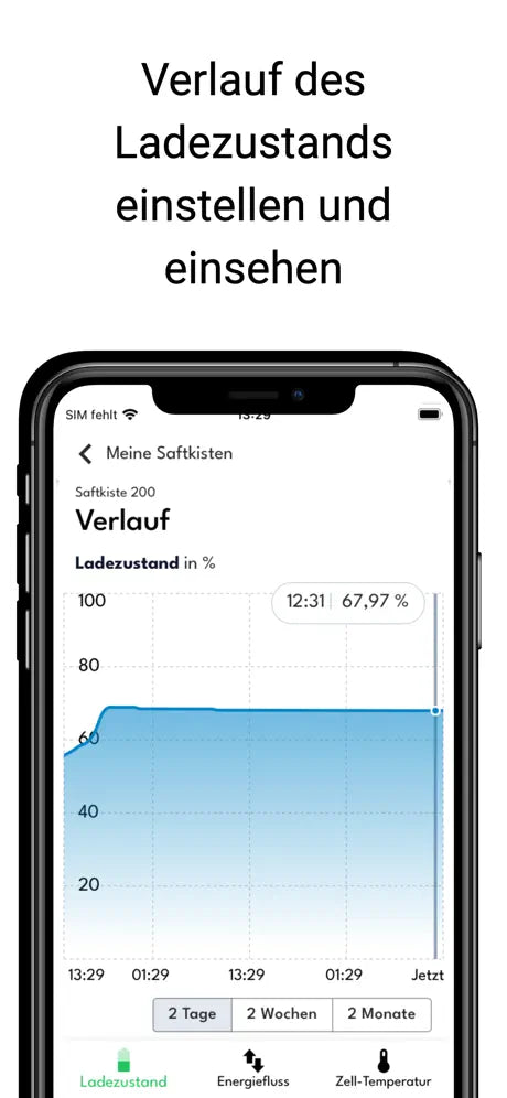 Saftkiste 300 / LiFePO4-Akku mit 300 Ah