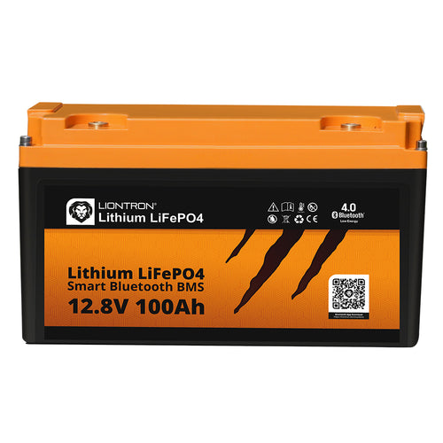 Saftkiste 200Ah LiFePO4 Lithium Batterie Wohnmobil DualBMS mit App