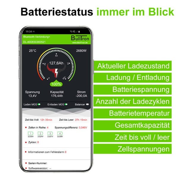 Bulltron Akku mit Smart BMS, Bluetooth und Heizung, LiFePo4 Batterie 12,8V  300Ah